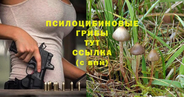 мяу мяу мука Алексин