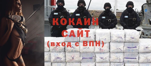гашик Алзамай
