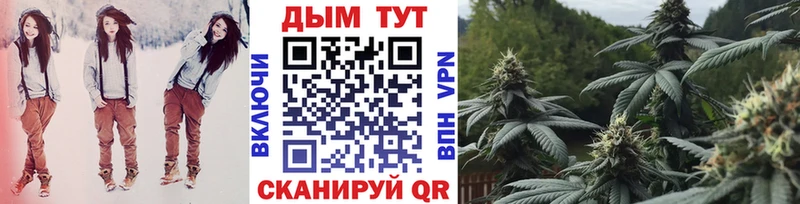 Бошки Шишки VHQ  где найти наркотики  Дегтярск 